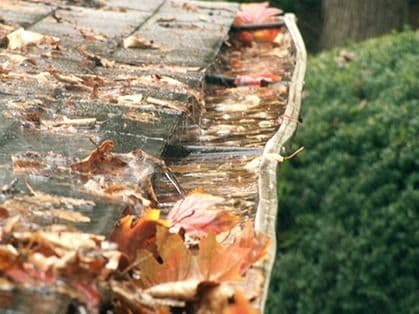 449_OverflowingGutter2