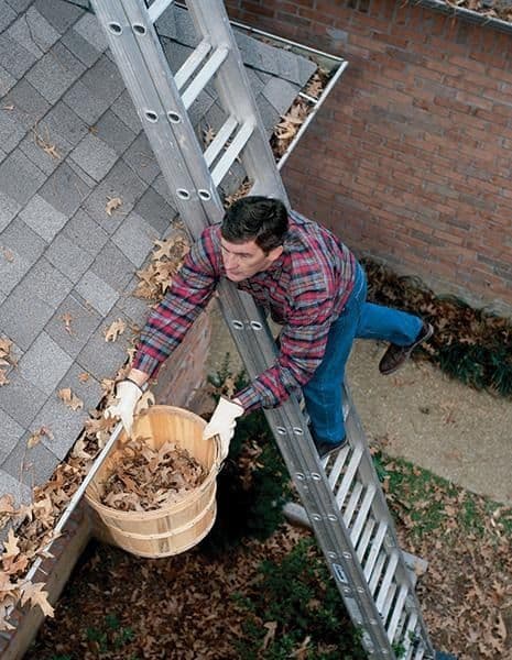 584_Man-On-Ladder