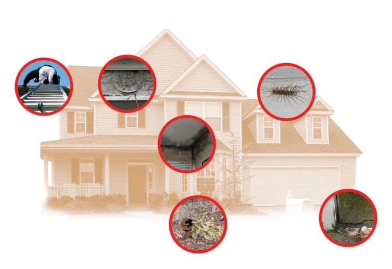 Damage-Areas-On-House-768x528