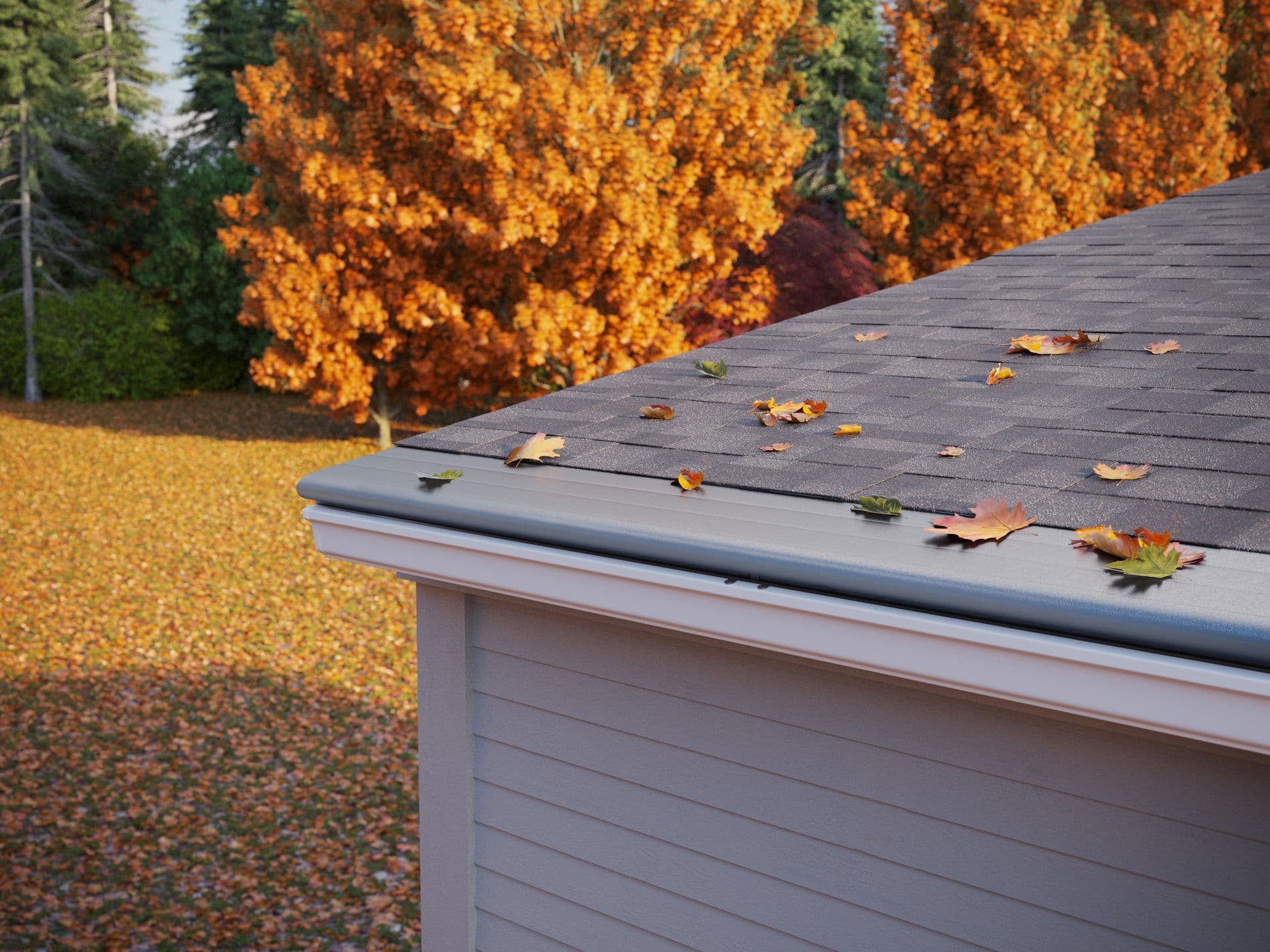 Fall Gutter Helmet Animated.jpg