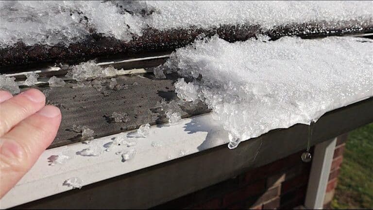 Frozen-Leaf-Filter