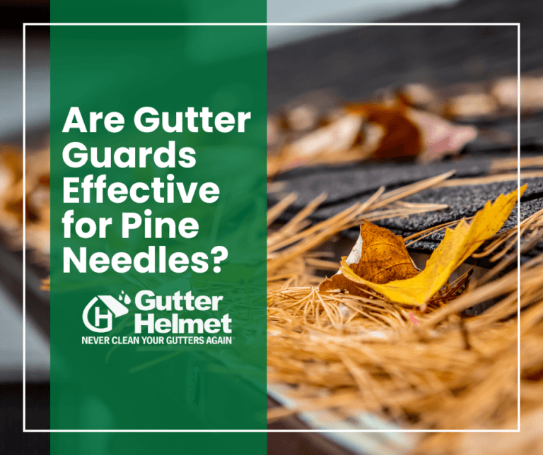 imgi_1_1242024-Are-Gutter-Guards-Effective-for-Pine-Needles-1-768x644.png