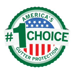 imgi_1_785_Americas_1_Logo-01-300x300.png